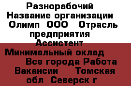 Разнорабочий › Название организации ­ Олимп, ООО › Отрасль предприятия ­ Ассистент › Минимальный оклад ­ 25 000 - Все города Работа » Вакансии   . Томская обл.,Северск г.